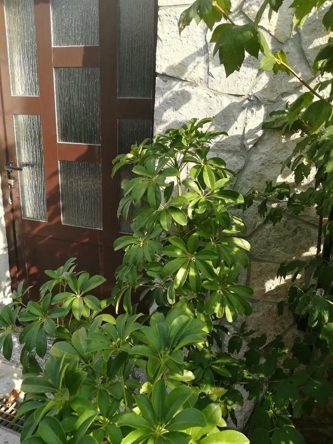 Apartman Nada Apartment Kornic Exterior photo